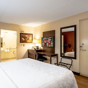 Deluxe  King Room Disability Access